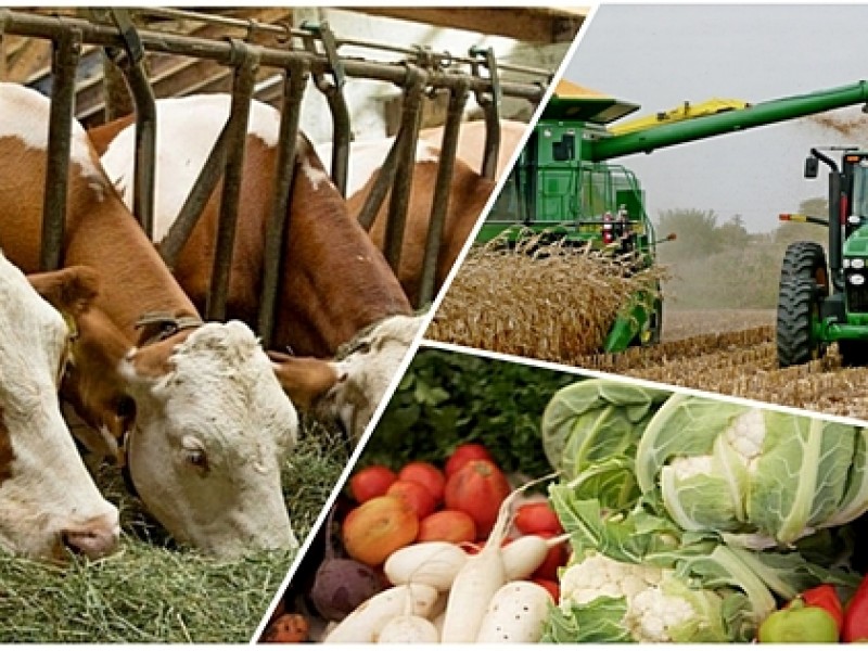 ЕЭК установил тарифные квоты на ввоз отдельных сельхоз товаров в Армению на 2022 год
