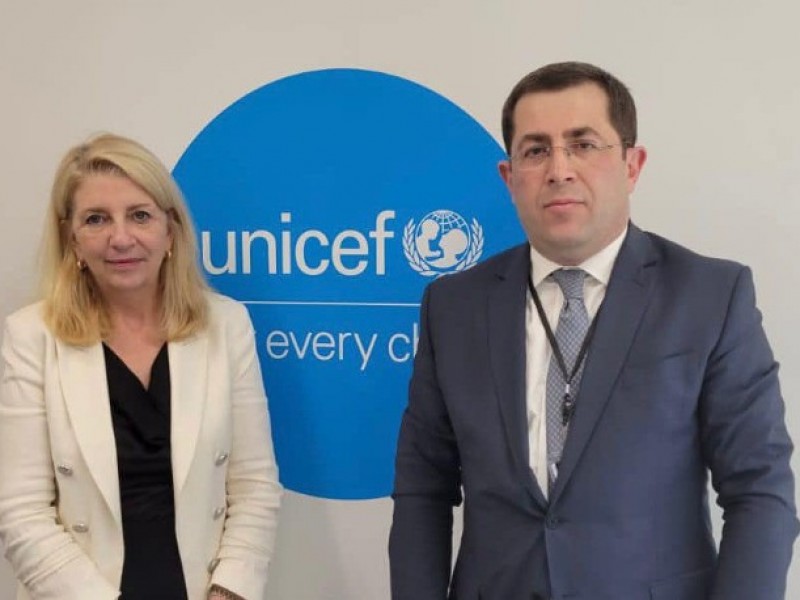 Посол Армении в ООН представил директору UNICEF ситуацию в Арцахе
