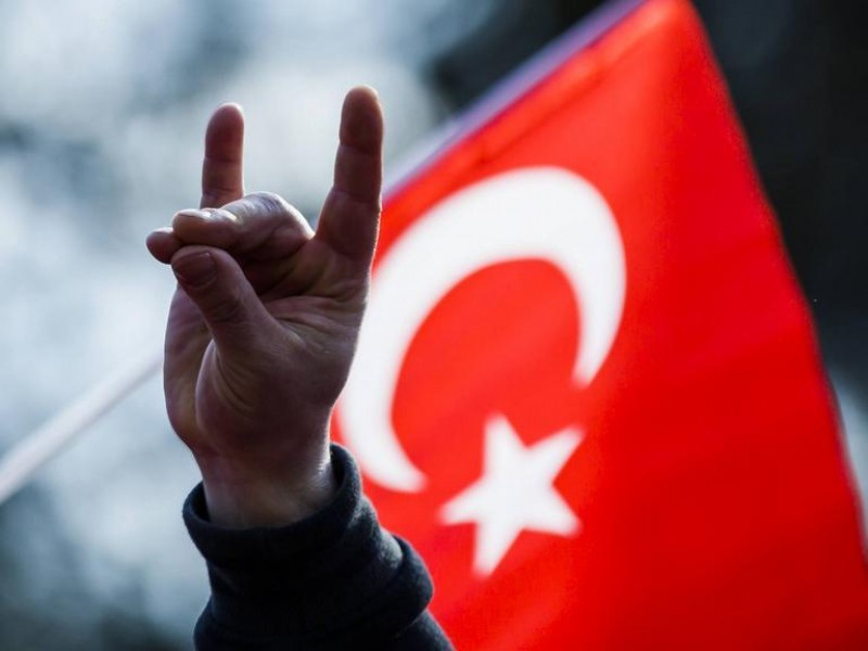 Во Франции запретят турецкую ультранационалистическую группировку «Серые волки»
