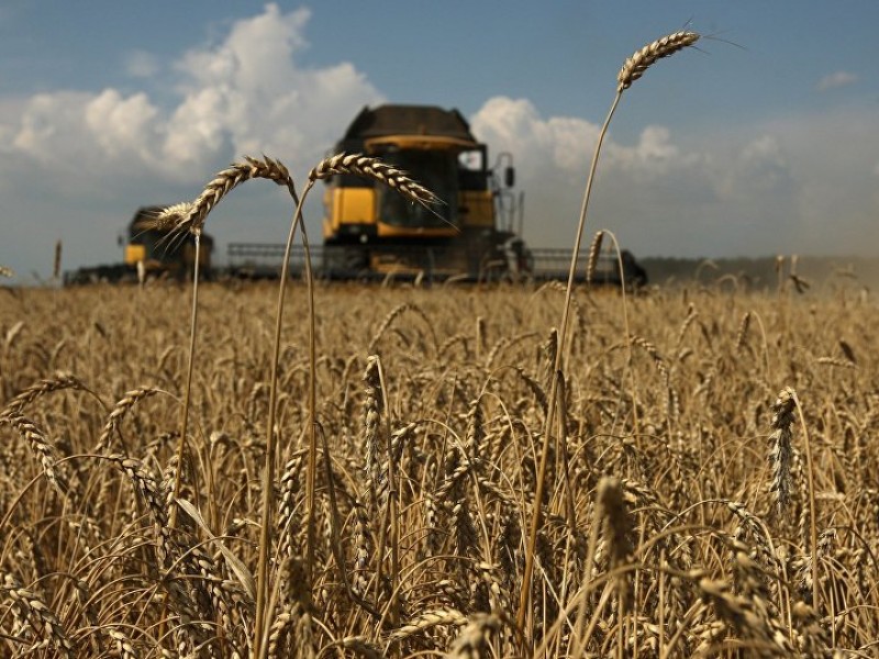 Правительство Армении намерено субсидировать сельхозкредиты