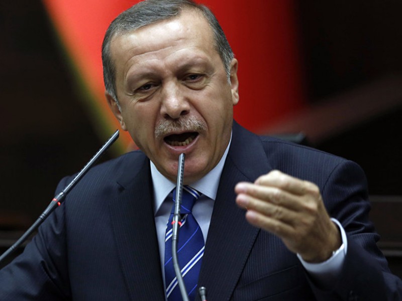 Эрдоган: визит в Германию будет способствовать традиционной дружбе между двумя странами