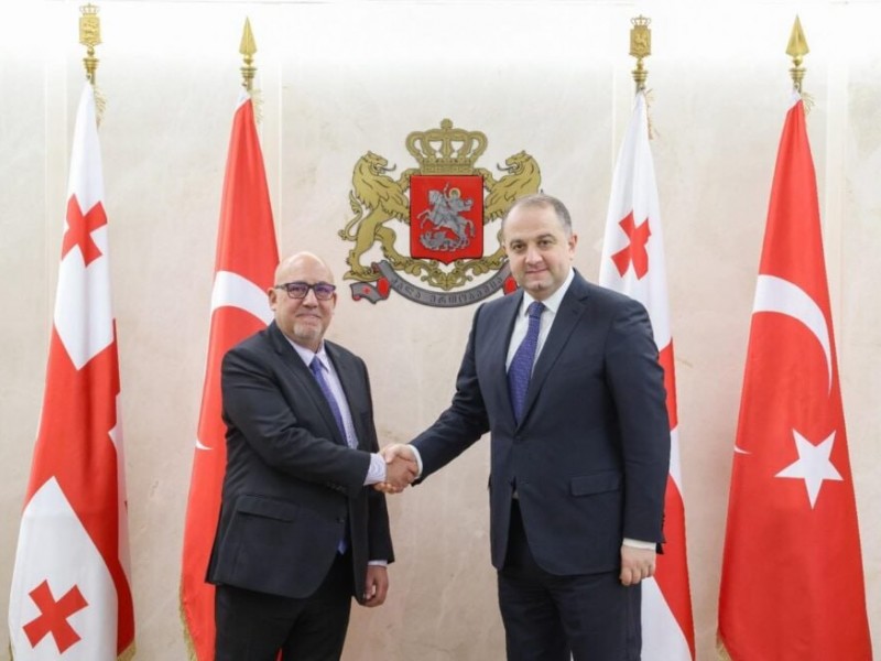 Новый министр обороны Грузии провел ознакомительную встречу с послом Турции