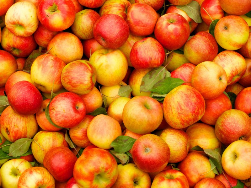 ՌԴ-ն արգելել է Ադրբեջանից խնձորի, տանձի և սալորի ներմուծումը