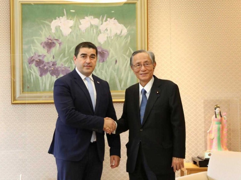 Грузия и Япония обсудили вопросы межпарламентского сотрудничества