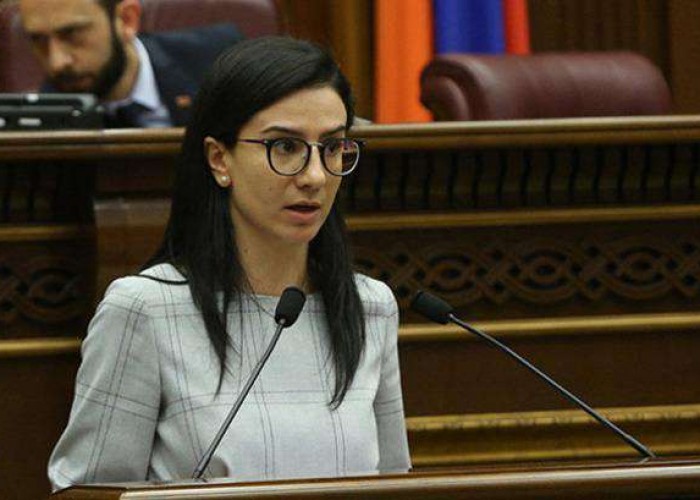 ГД на должность генерального прокурора выдвинул кандидатуру Анны Вардапетян