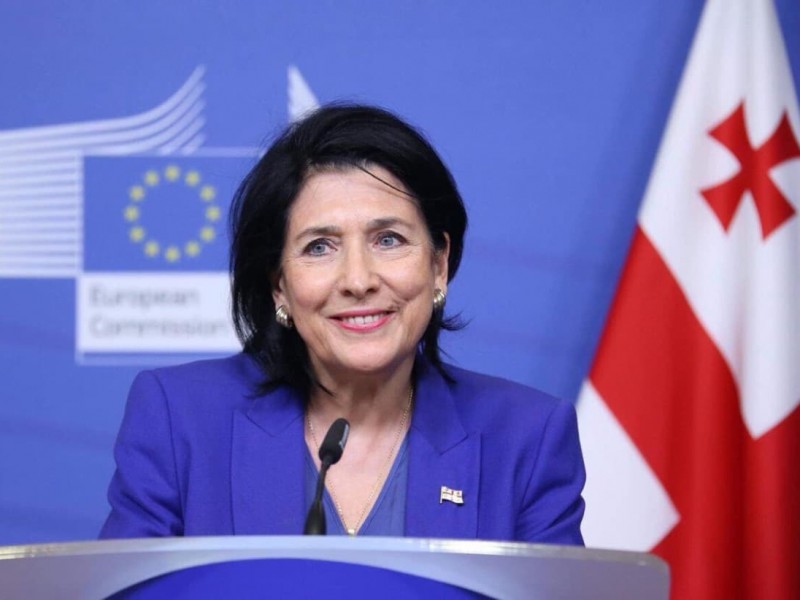 Зурабишвили попросила Европарламент пересмотреть плату за обучение для студентов из Грузии