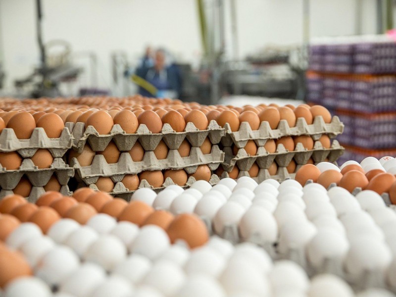 На рынке яиц страсти не утихают: встреча в ГКЗЭК