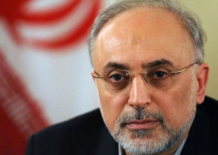 Салехи: Иран способен запустить обратно все процессы, существовавшие до СВПД 