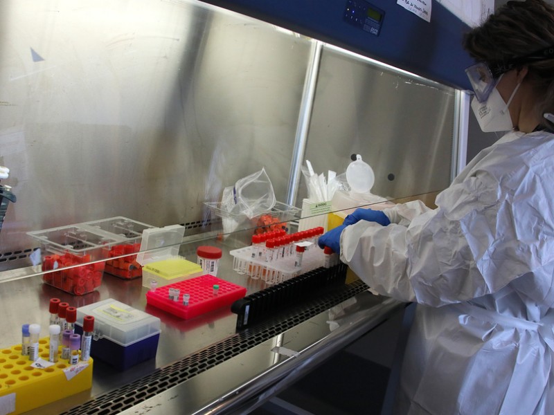 Ветераны СНБ РА требуют проверить работу биолабораторий, финансируемых США