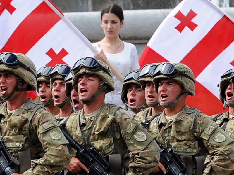 Правительство Грузии хочет запретить прием на госслужбу мужчин, не служивших в армии