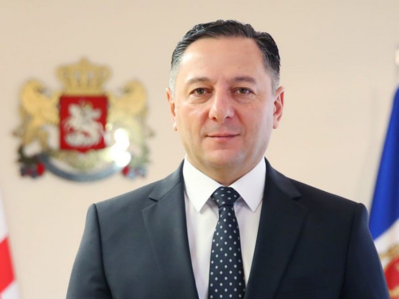 В Грузии не более 60 тыс. россиян – глава МВД успокоил оппозицию