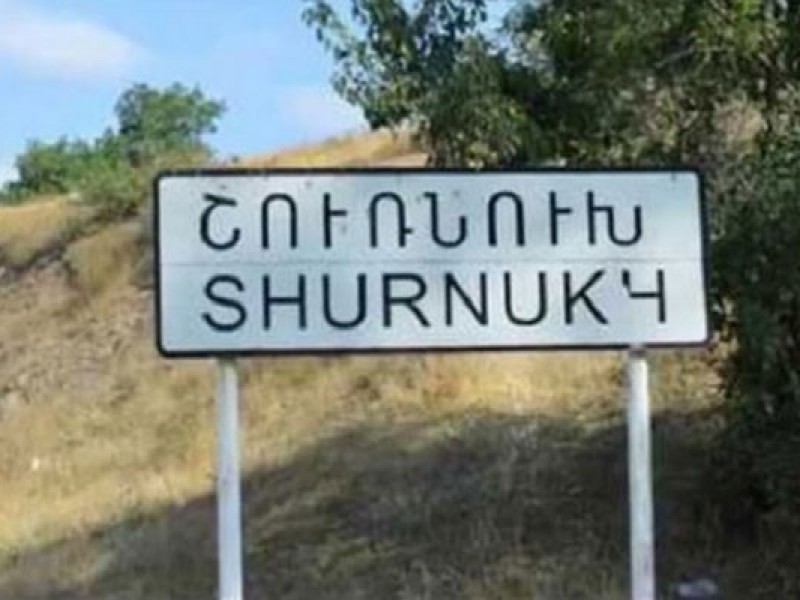 Азербайджанцы угнали скот у фермера из Шурнуха: Зограбян обратилась к Мурадову 