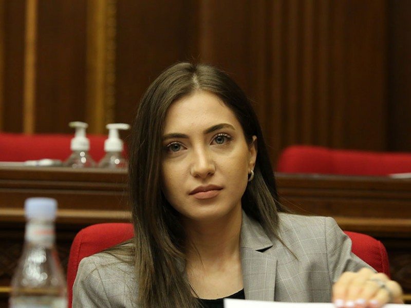 Власти Армении довели коррупцию до системного иерархического уровня - депутат