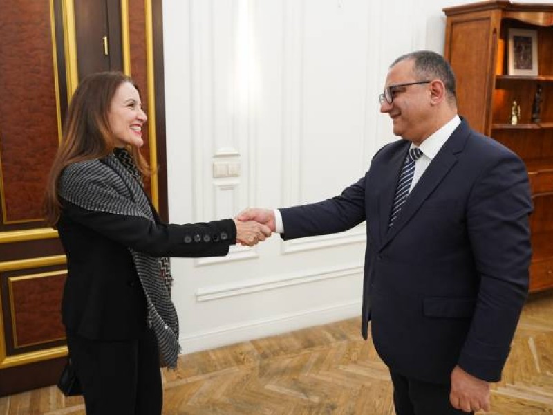Вице-премьер Армении принял регионального директора ЮНИСЕФ