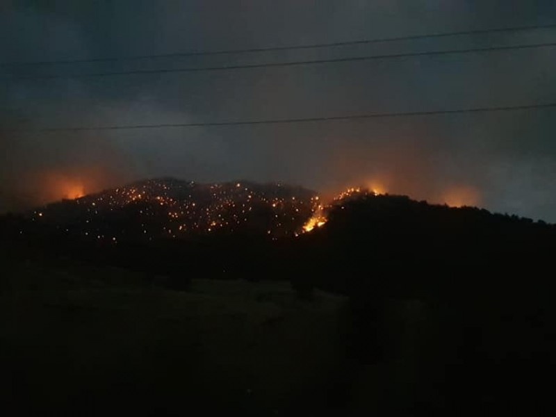 В национальном парке «Аревик» сгорело более 10 гектаров леса: министр