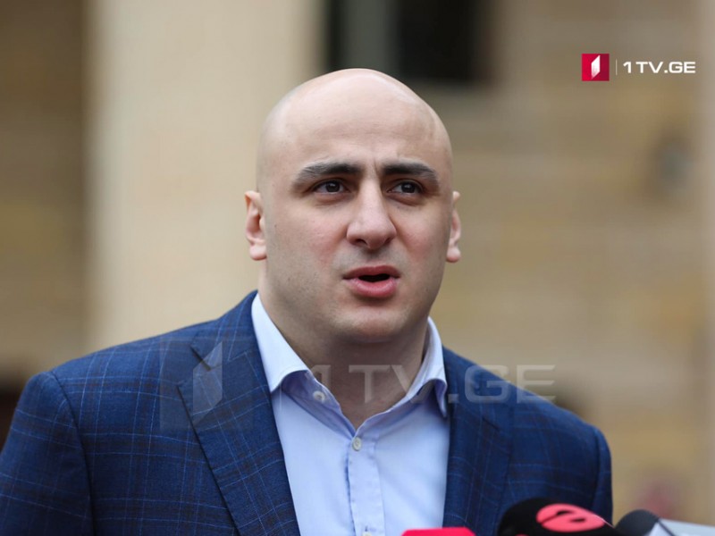 Ника Мелия возглавил основанную Саакашвили партию «Единое национальное движение» 