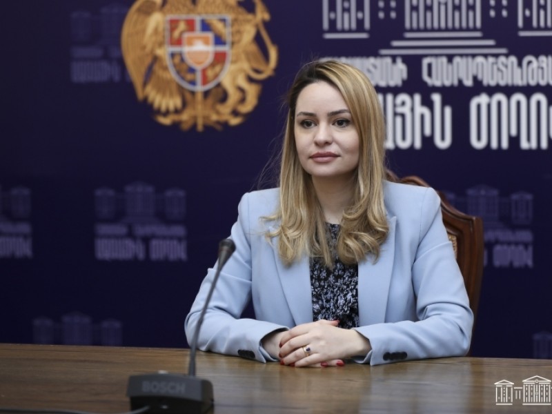 Член армянской делегации призвала СЕ и ПАСЕ называть вещи своими именами