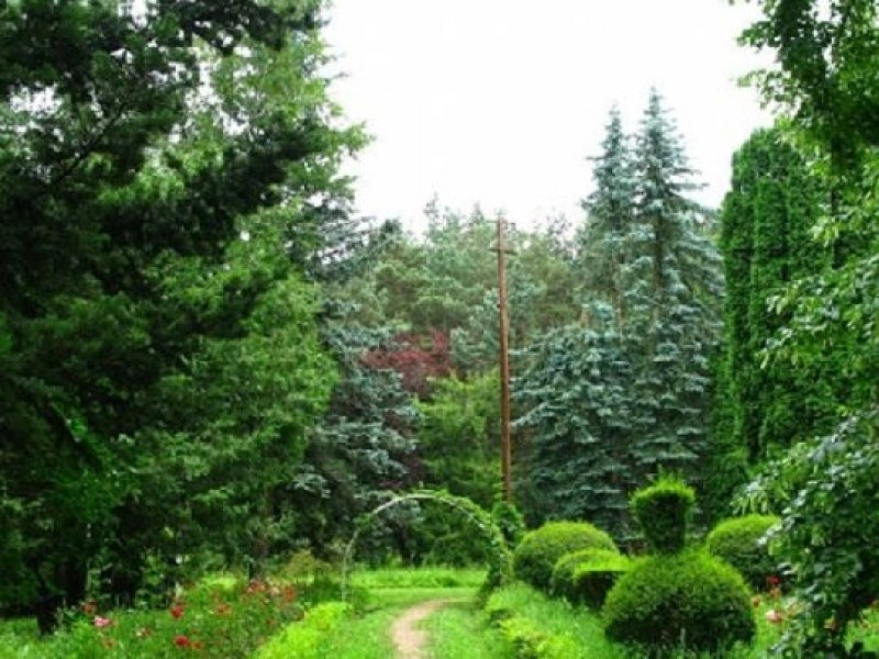 Пашинян заявил о старте флешмоба по высадке 10 миллионов деревьев