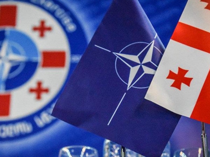 Глава МИД Грузии обсудил с замгенсека НАТО переговоры между Россией и альянсом