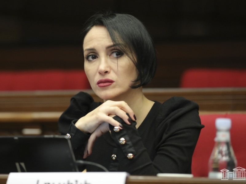 Депутат ГД упрекнула оппозицию в повторении азербайджанских нарративов
