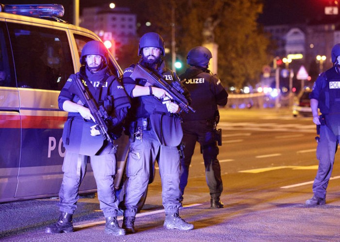 Глава МВД Австрии: один из террористов в Вене симпатизировал ИГ