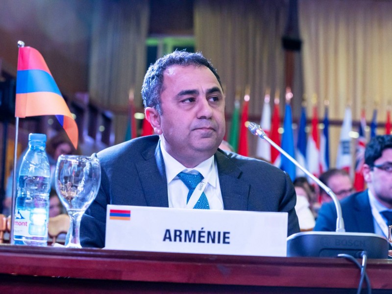Замминистра ИД Армении на форуме Франкофонии представил политику этнических чисток Баку 