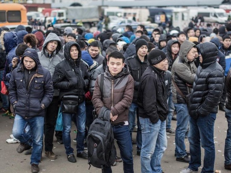 Нелегальных трудовых мигрантов могут выдворить из России