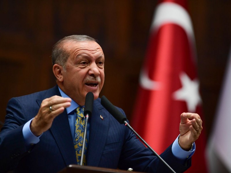 МИД Египета обвинил Эрдогана в поддержке  «Братьев мусульман»