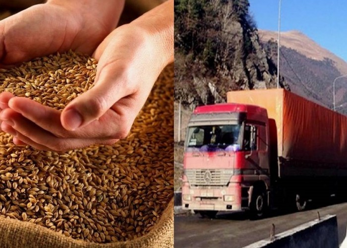 Մամուլ. Հարված ՀՀ-ին. Վրաստանը աշնանը կարող է արգելել ցամաքային ճանապարհով ցորենի ներկրում