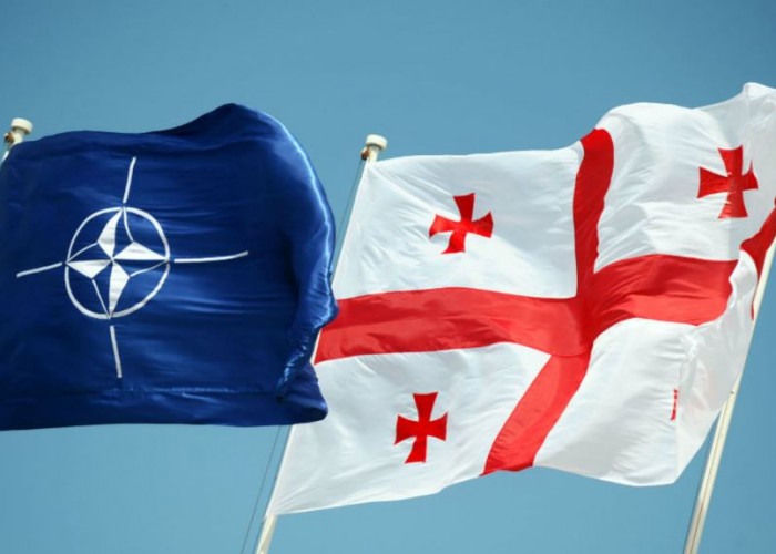 Грузия планирует вступить в НАТО в 2021 году