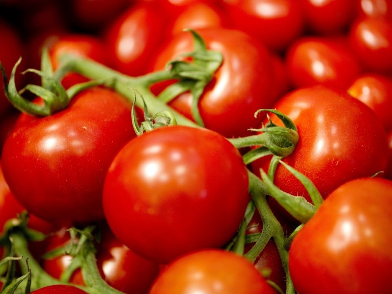 Анкара надеется, что Россия снимет запрет на импорт турецких томатов через 1-2 дня