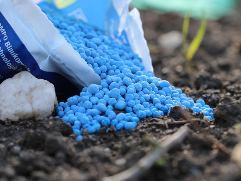 Россельхознадзор предложил гармонизировать законодательства в ЕАЭС по обороту пестицидов
