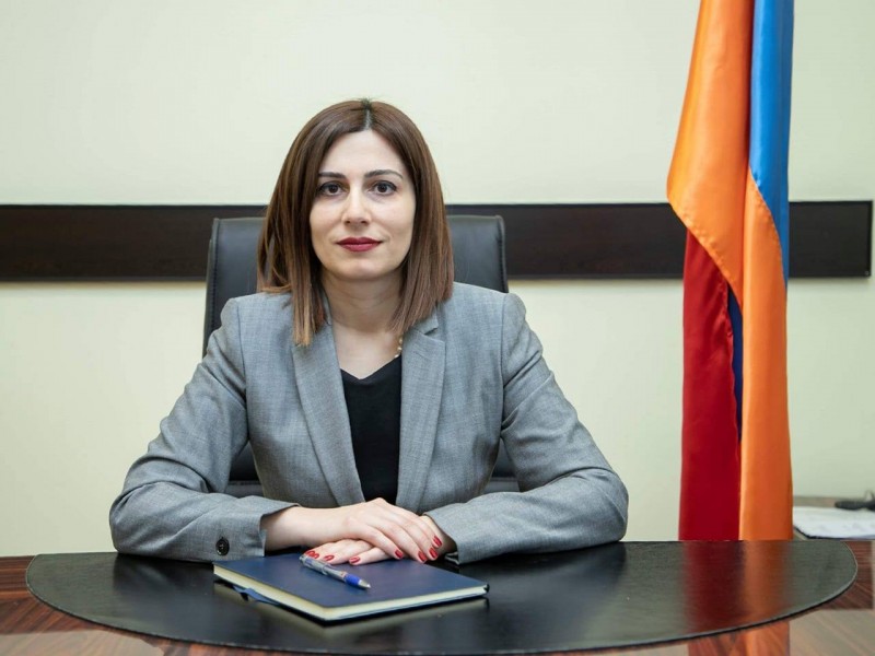 В Армении должна быть внедрена система медицинского страхования — министр 