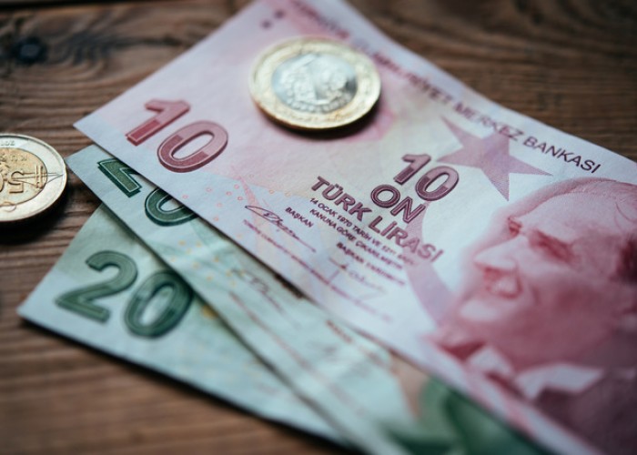 В Турции инфляция по итогам 2022 года составит 57,92%