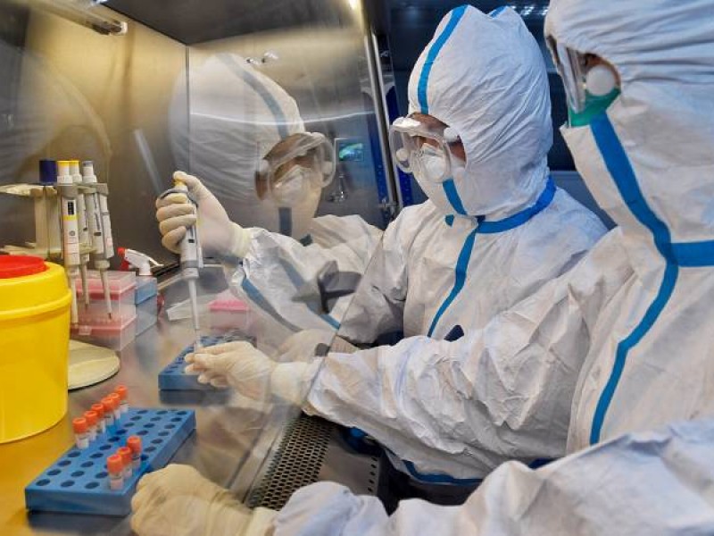 Власти КНР считают не убедительным доклад об угрозе пандемии от нового типа свиного гриппа