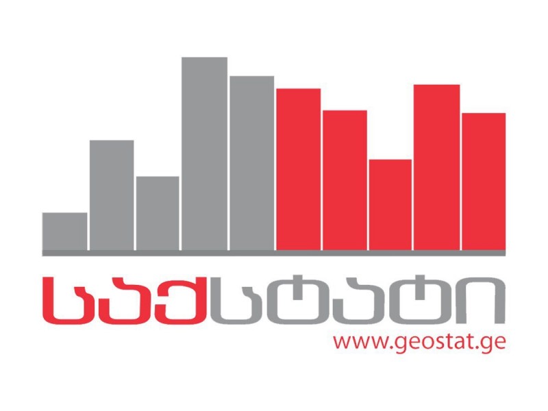 Снижение уровня реального ВВП Грузии в мае составило 13,5% – Грузстат
