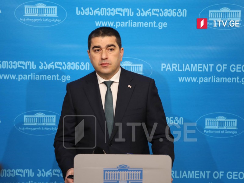 «Щипок на дорожку» – спикер парламента о резолюции Европарламента с критикой Грузии 