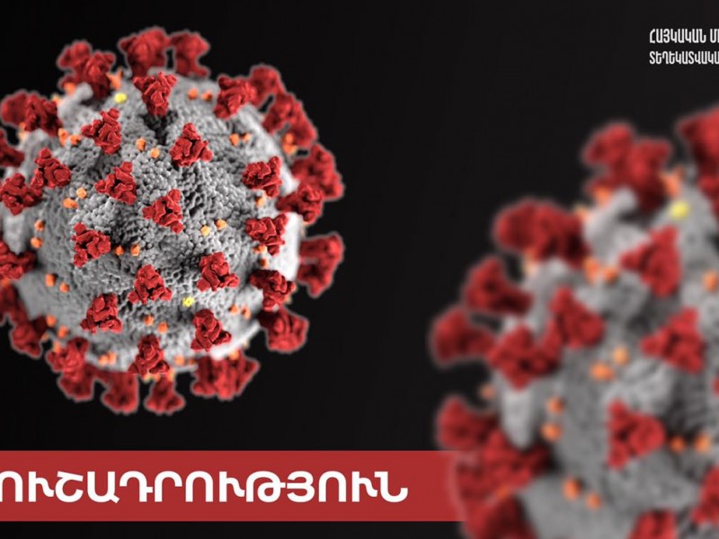 Сколько перечислено средств на борьбу с распространением коронавируса в Армении?