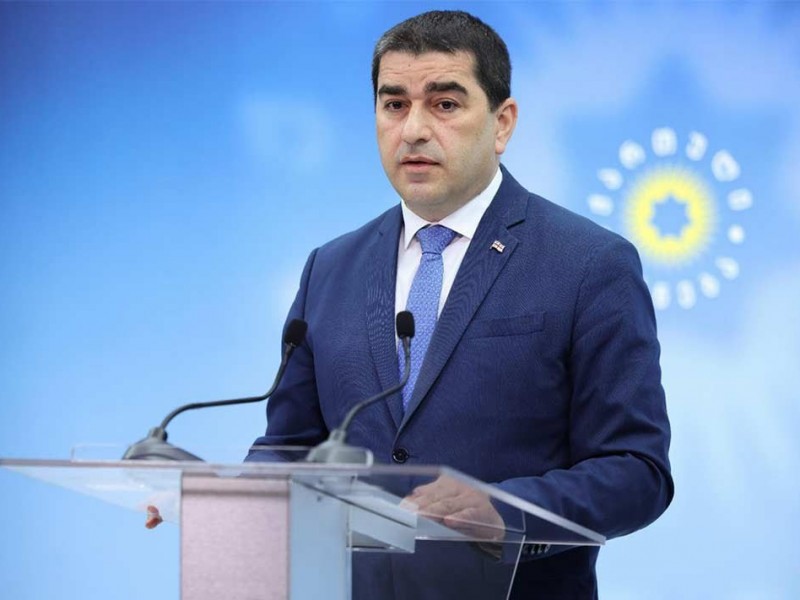 Спикер парламента Грузии увидел в действиях оппозиции попытку реализации «Майдана»