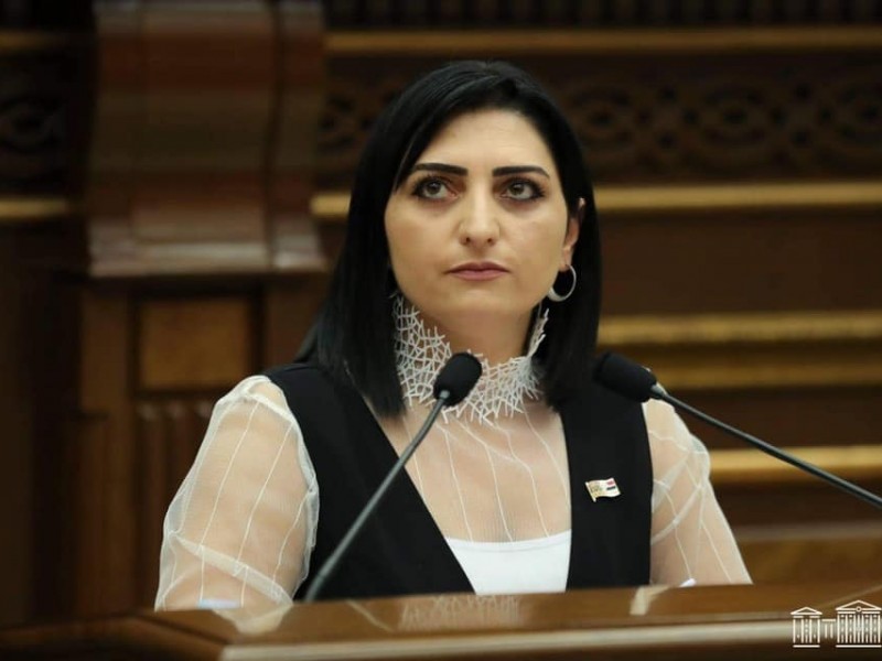 Депутат обратилась в международные структуры по вопросу азербайджанских ВС в Сюнике