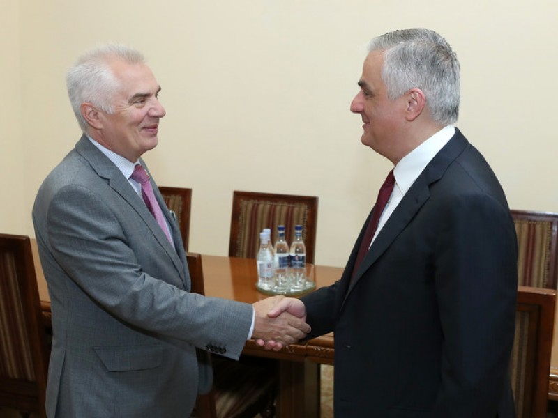 Вице-премьер обсудил с Петром Свитальским процесс разработки стратегии развития Армении