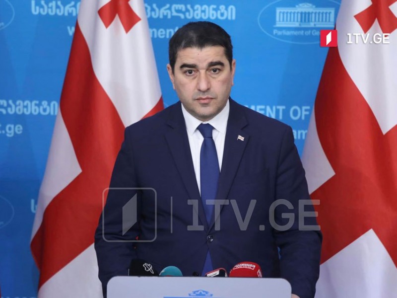 Спикер: Европейские политики хотят разделить грузинский народ и избранное им правительство