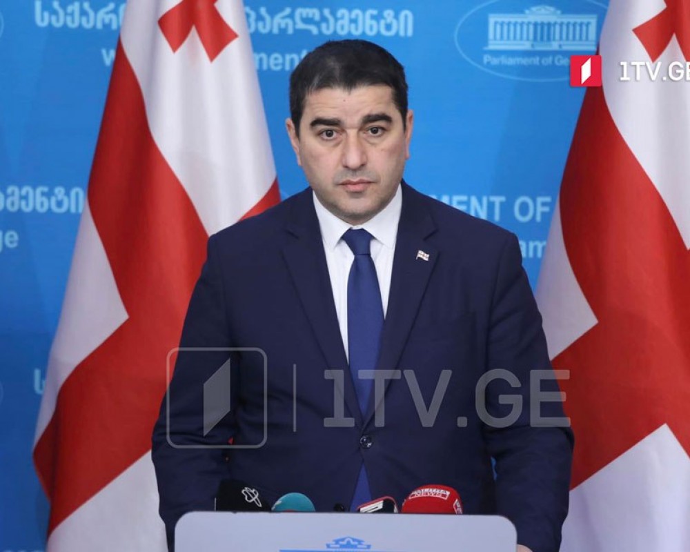 Спикер: Европейские политики хотят разделить грузинский народ и избранное им правительство