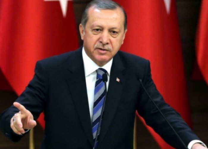 Эрдоган: Турция продолжит борьбу с курдскими формированиями в Сирии 