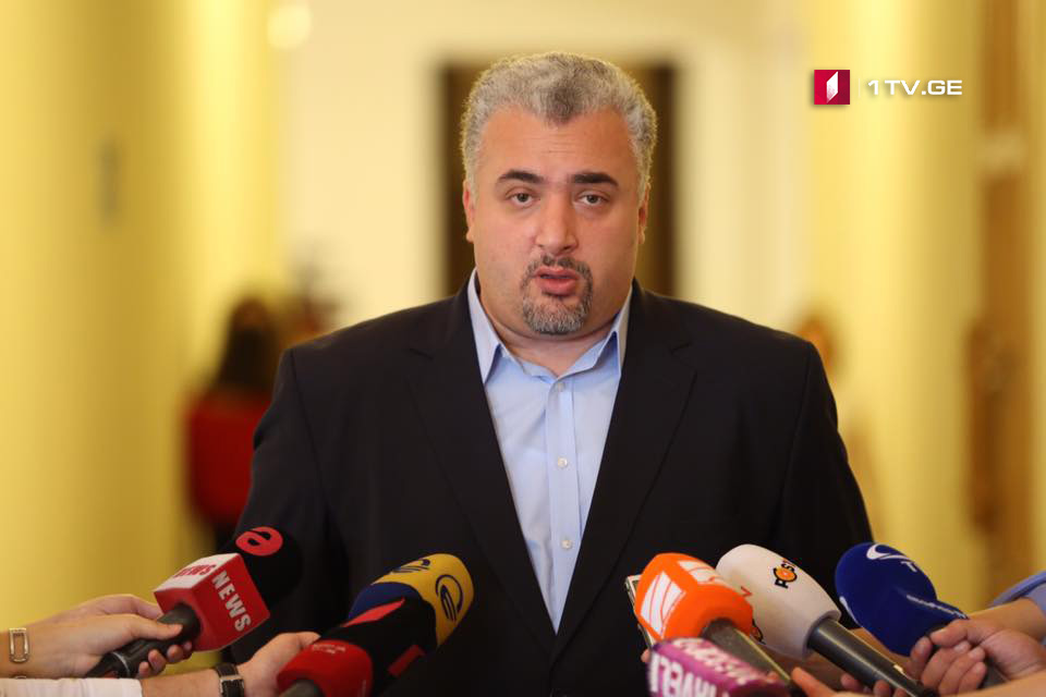 Оппозиция Грузии грозится устроить «коридор стыда» в день старта политического сезона 
