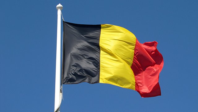 Бельгийский парламентарий  предложил лишать турок подданства Бельгии