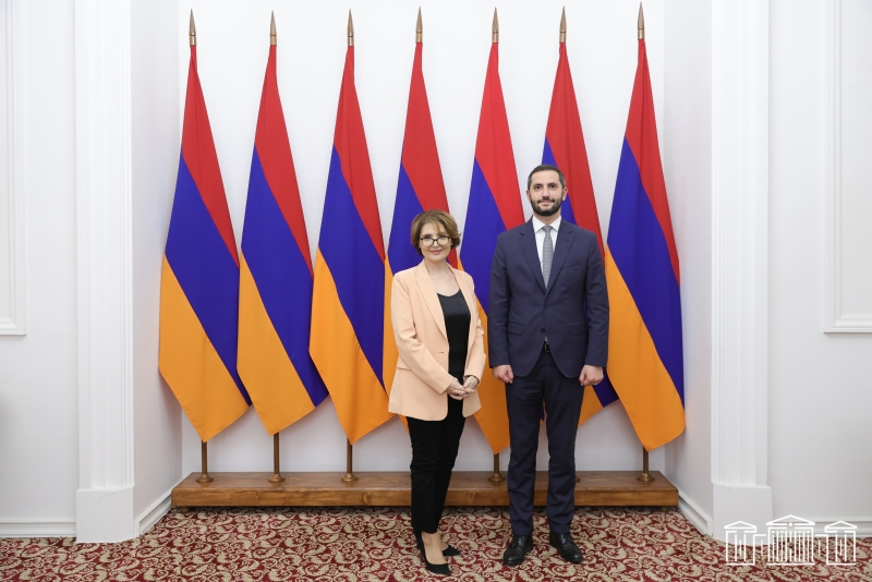 Отношения Армения-Грузия становятся более активными на всех уровнях - Рубинян