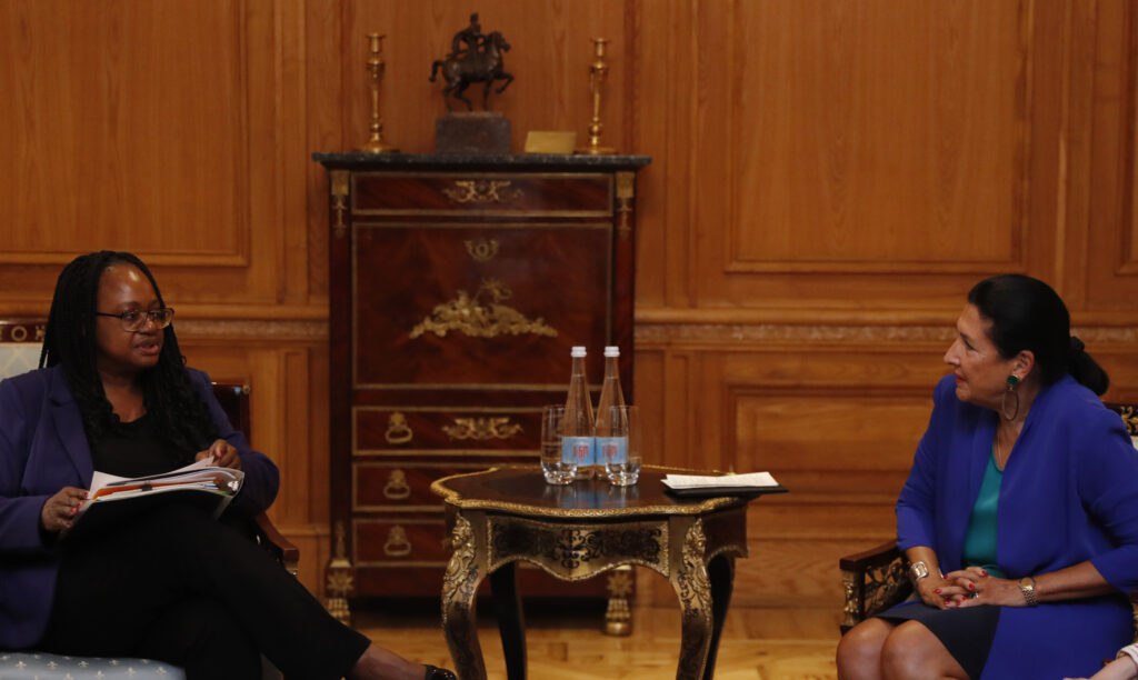  Президент Грузии рассказала замгоссекретаря США о процессах в регионе 