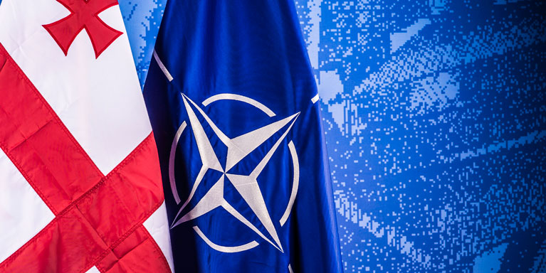 Грузия представила в Брюсселе «Годовую национальную программу» интеграции в НАТО