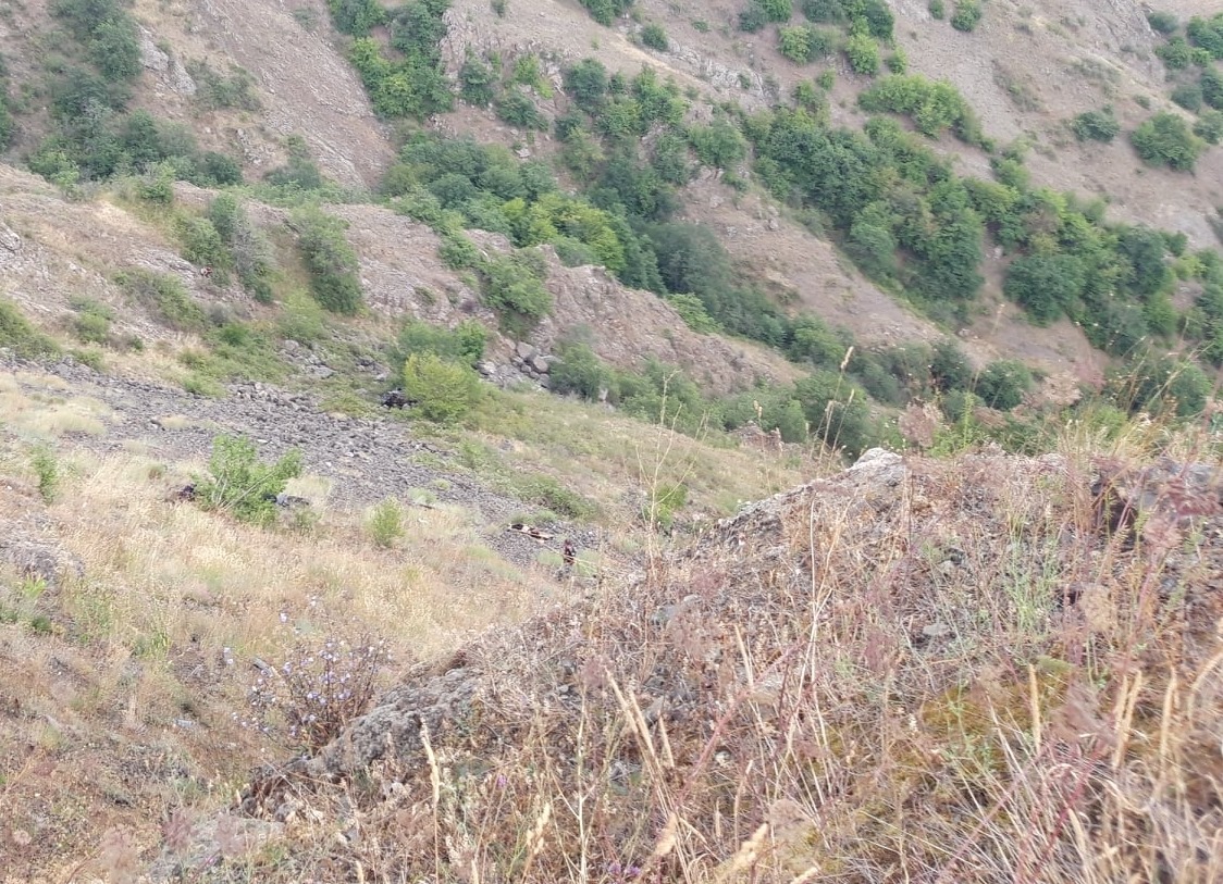 В Гадруте обнаружены останки еще двух армянских военнослужащих - ГСЧС